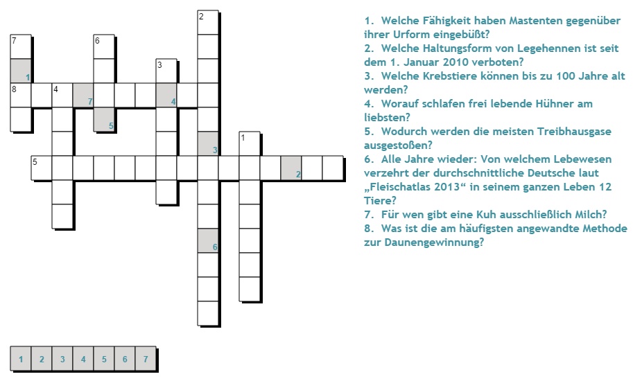 Türchen Nr. 1 Anima e. V.