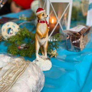 Unser Vereins-Maskottchen im Weihnachtslook