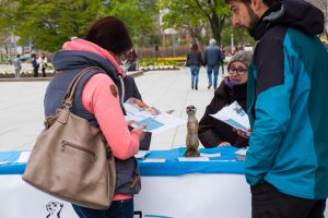 Zwei interessierte Personen mit Flyern vor dem Stand von Anima e. V.
